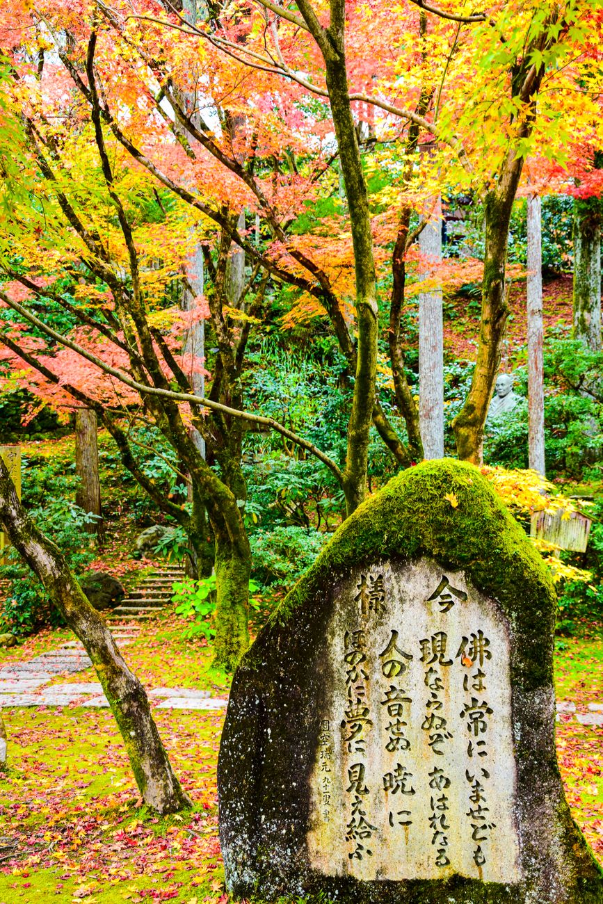 Zen stone garden surrounded by autumn maple leaves