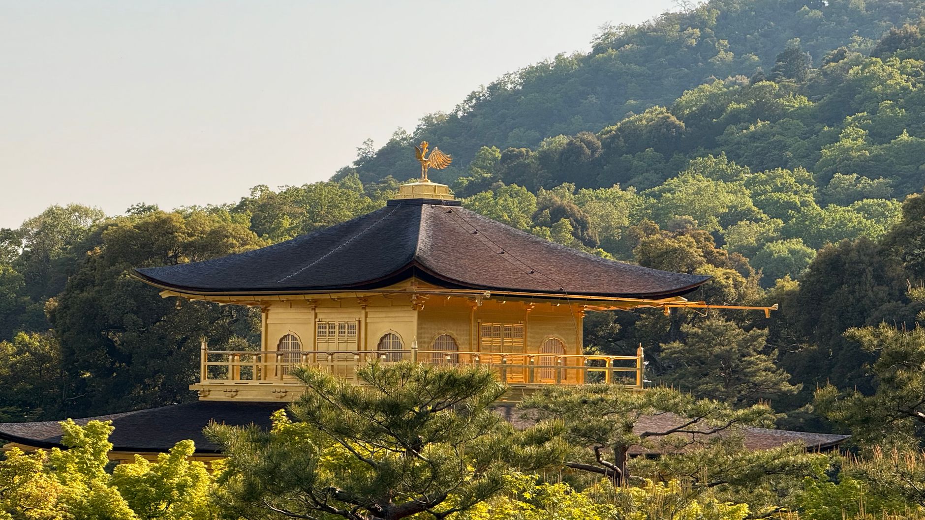 Historic Japanese temple pavilion nestled in lush mountain foliage